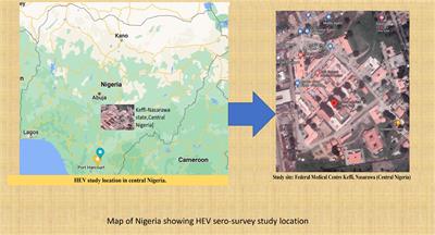 Seroprevalence and burden of hepatitis E viral infection among pregnant women in central Nigeria attending antenatal clinic at a Federal Medical Centre in Central Nigeria